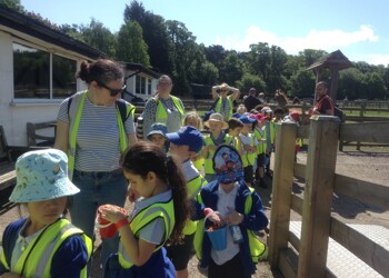 Year 1 visit Christmas Tree Farm